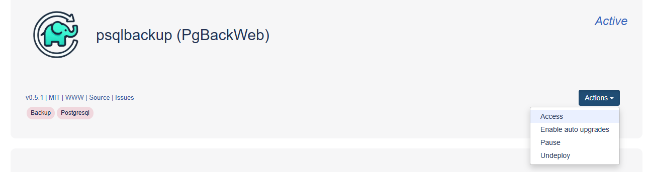 PgBackWeb Access Link