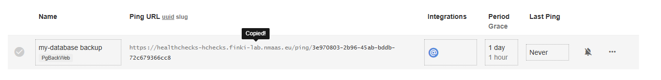 Healthchecks URL copy