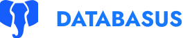 Databasus Logo